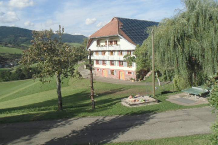 Ferienwohnung für 4 Personen, mit Balkon/Terrasse und Terrasse in Mittlerer Schwarzwald - 3