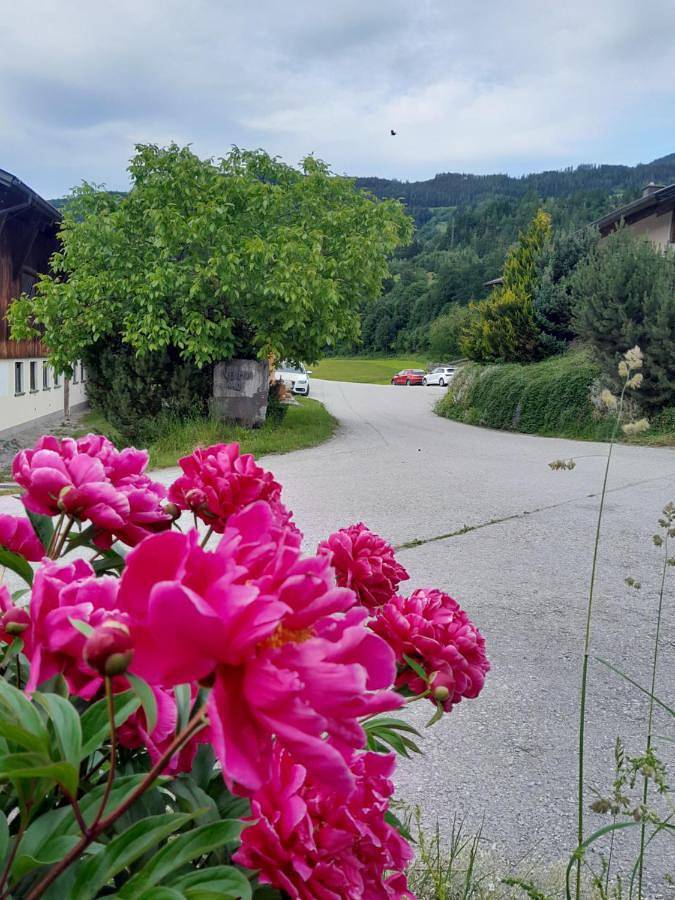 Apartamento de vacaciones para 4 personas, con jardín y vistas - 1
