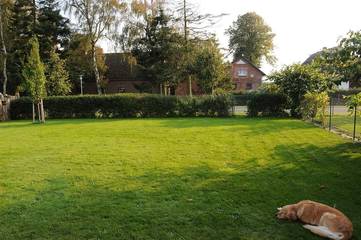 Ferienhaus für 5 Personen in Dierhagen, Fischland - Darß - Zingst, Bild 4