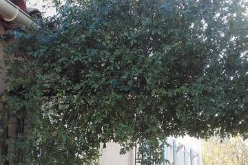 Cottage pour 8 personnes, avec terrasse à Sainte-Anastasie-sur-Issole