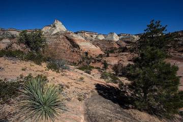 Log Cabin for 4 Guests in Zion National Park, Kane County, Picture 2