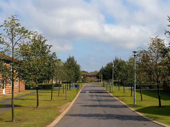 University Campus Park Wood in St Cosmus and St Damian in the Blean, Kent