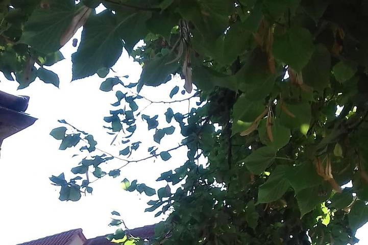 Ferienhaus für 8 Personen