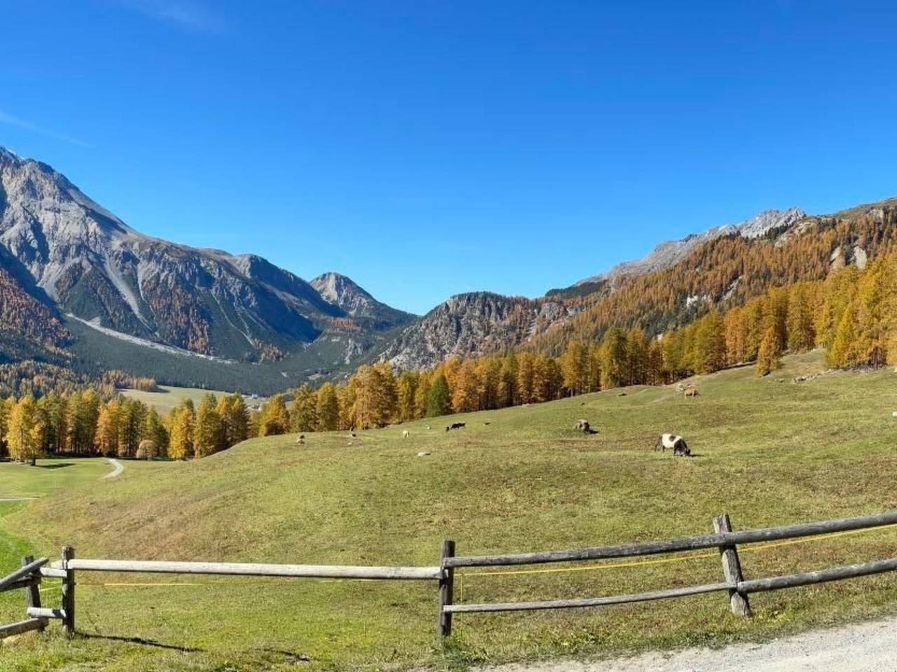 Haus Lü D'aint in Lü, Val Müstair