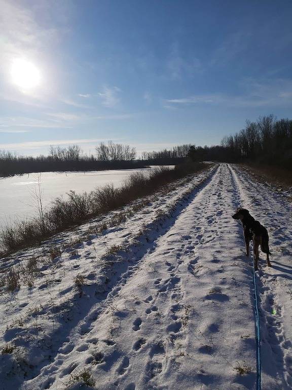 Serene Westfield Tiny Cabin in Huronsee (Kanada)