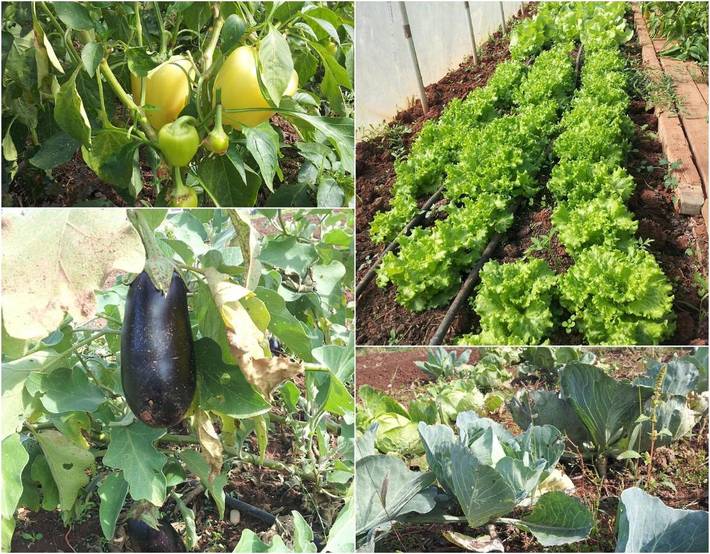 Maison d’hôte pour 2 personnes, avec jardin et vue dans Međugorje - 3