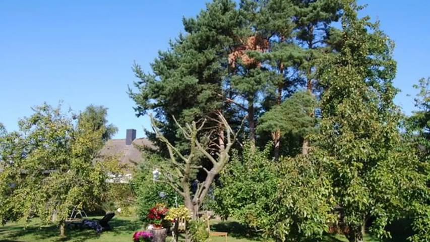 Bungalow für 2 Personen, mit Garten, mit Haustier in Fuhlendorf - 4