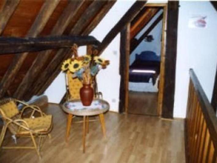 Location de vacances pour 11 personnes, animaux acceptés à Moncé-en-Belin - 3