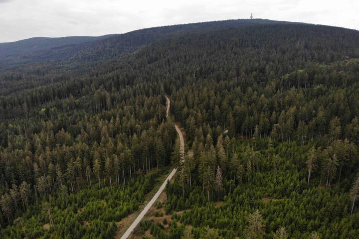 Ferienhaus für 5 Personen, mit Balkon und Balkon/Terrasse, kinderfreundlich in Franken - 4
