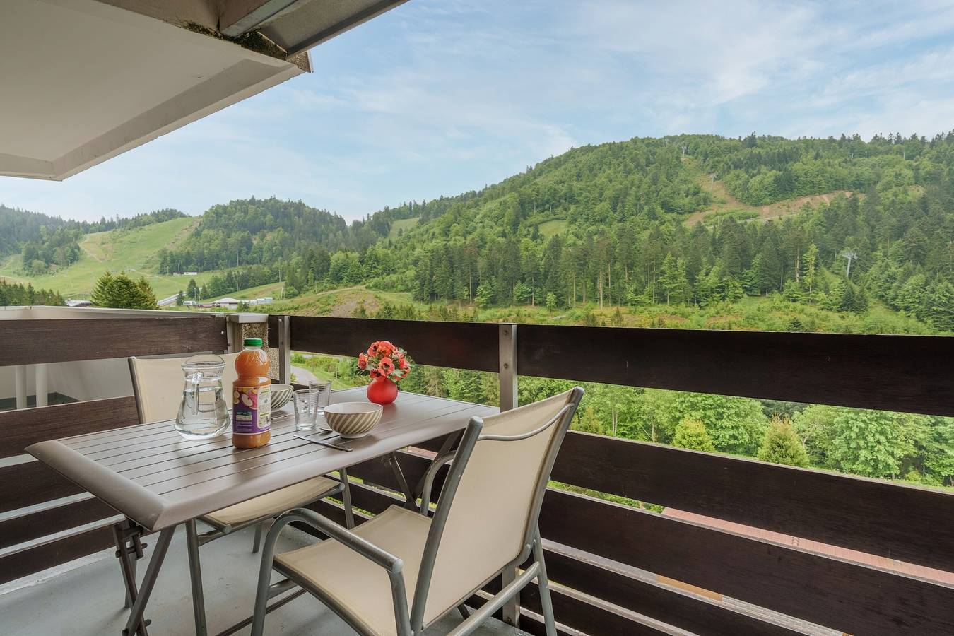 Apartamento entero, L'Ourson Rider - Proche pistes de ski in La Bresse, Parque natural regional de los Ballons des Vosges