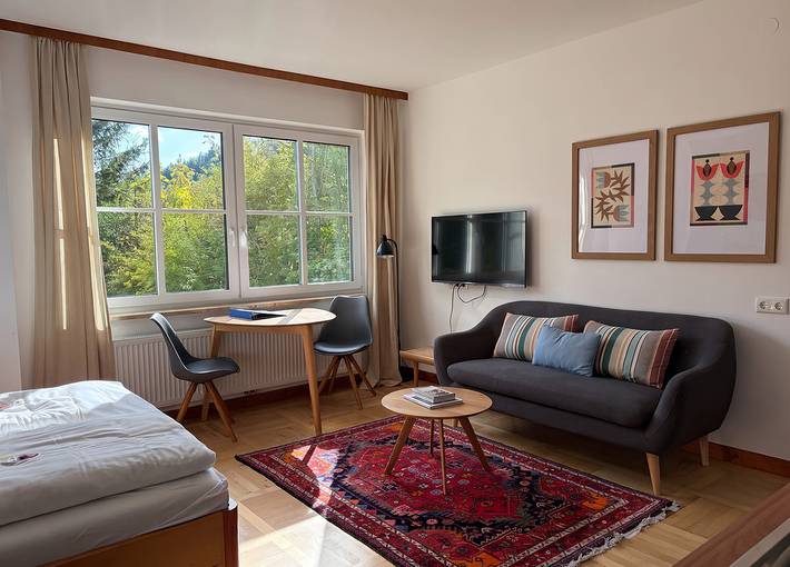 Ganze Wohnung, Haus Alma - Apartment Amon in Lunz am See, Mostviertel
