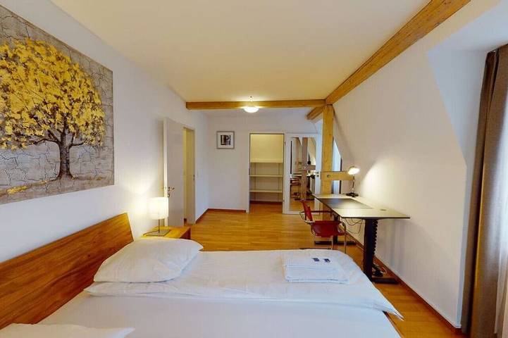 Ganze Wohnung, Penthouse flat in the city center/near lake (Sf18) in Zürich Zustellkreis, Zürich