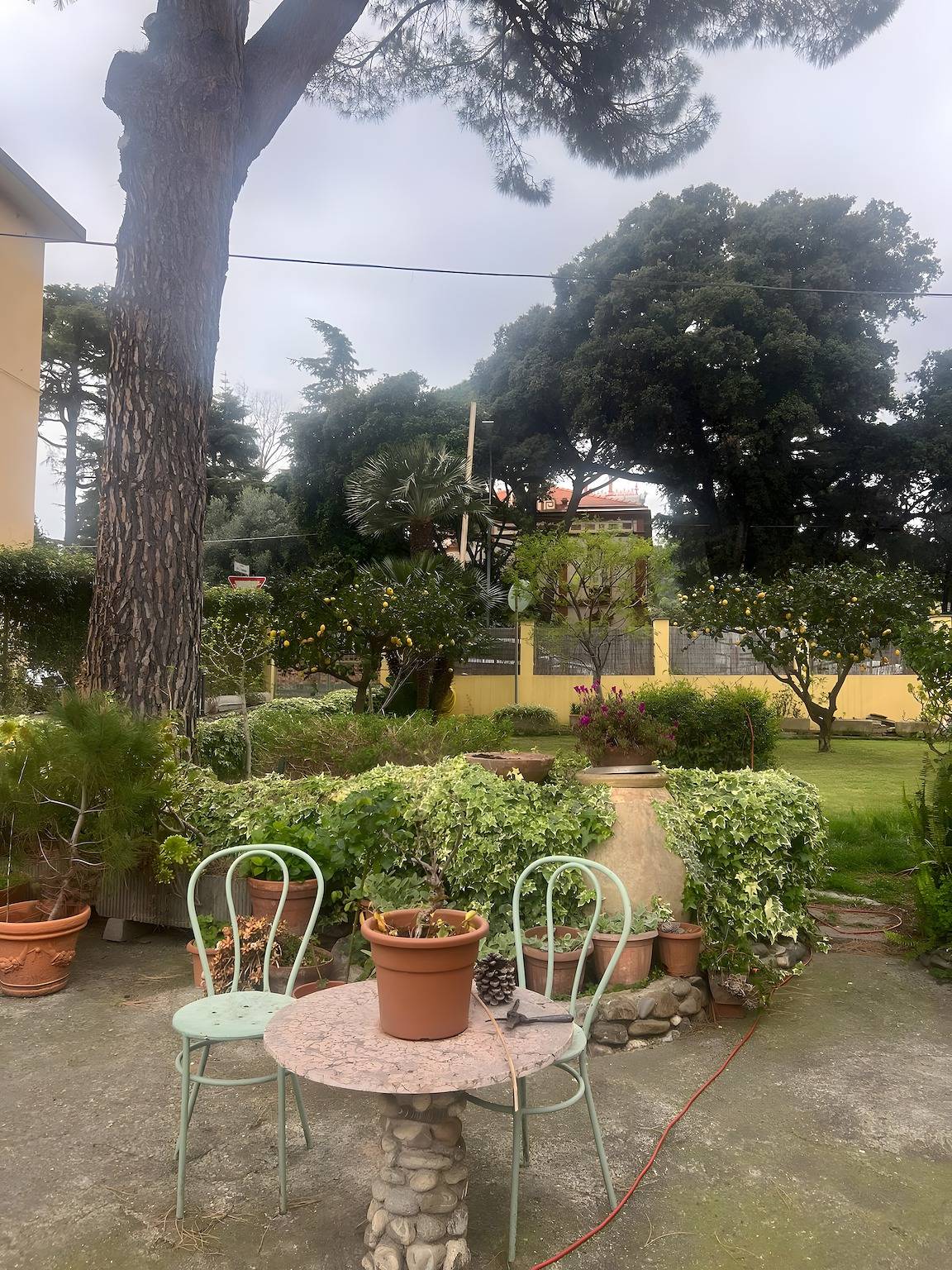 Appartement entier, « Casa Lena » : appartement 2 pièces avec jardin et Wi-Fi à disposition in Taggia (City), Taggia
