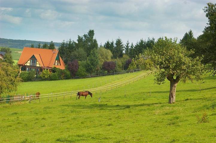 Ferienwohnung für 2 Personen, mit Terrasse und Garten sowie Sauna in Nittel - 3