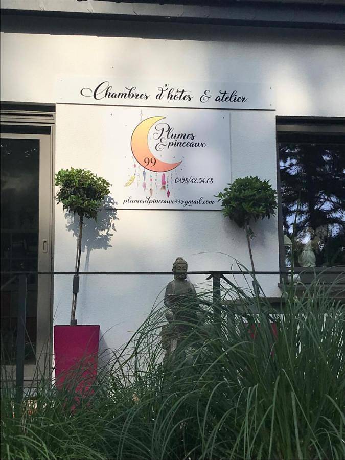 Plumes et Pinceaux in Redu, Libin