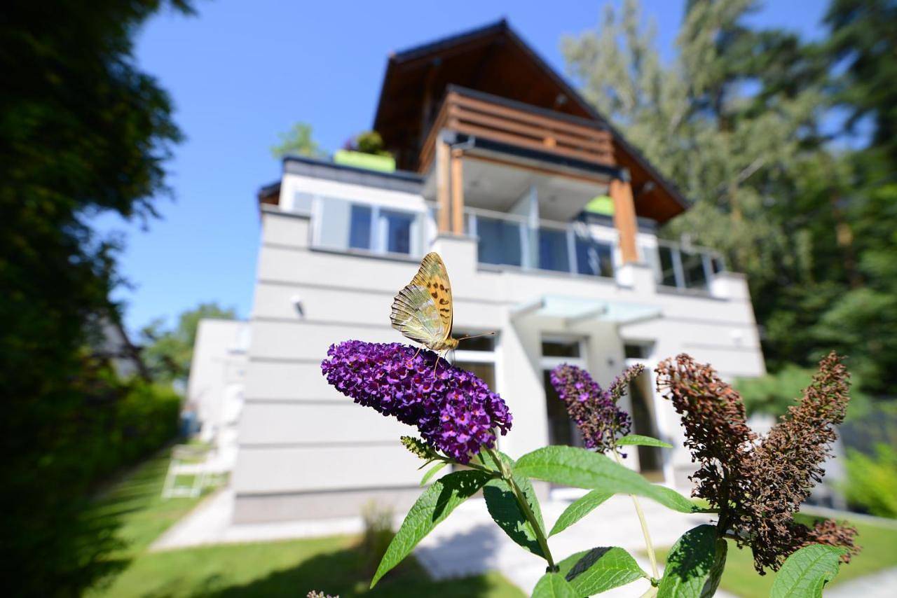 Cały apartament, Apartamenty Obora in Racibórz, Śląsk