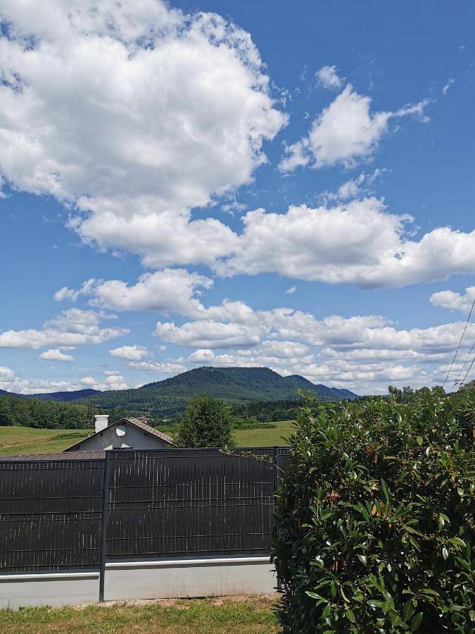 Location de vacances pour 4 personnes, avec vue ainsi que terrasse et jardin, animaux acceptés à Moyenmoutier - 2