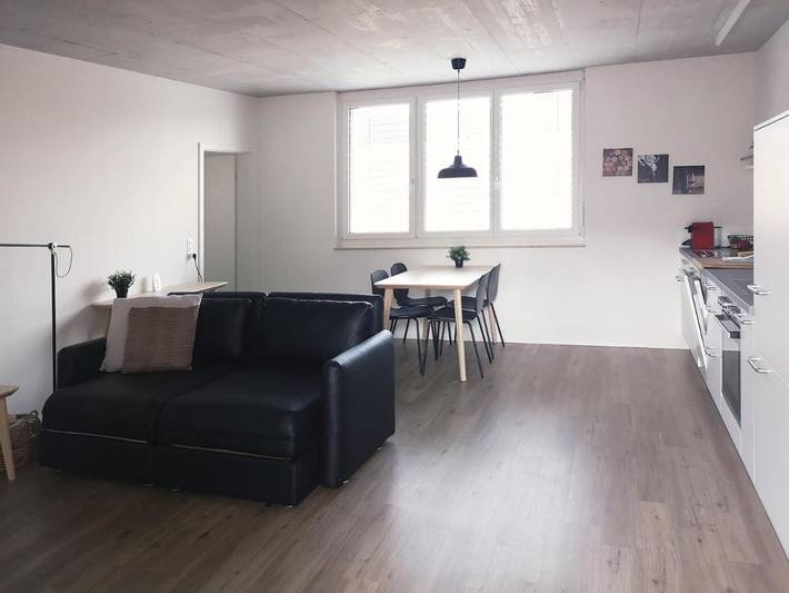 Gîte pour 4 personnes, avec terrasse, animaux acceptés à Schaffhausen - 2