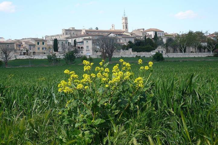 Gîte pour 3 personnes, avec terrasse et jardin, animaux acceptés à Saint-Geniès-des-Mourgues