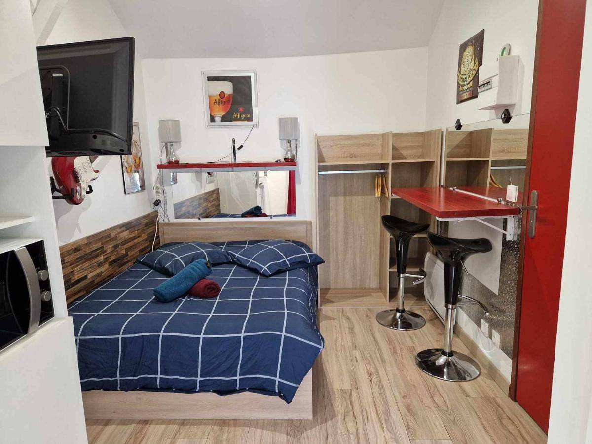 Appartement entier, 07 - Joli studio avec clim tout équipé avec un lit double, vue sur jardin, parking privatif gratuit, grand fourgon possible, tout le linge de maison est fourni in Razac-sur-l'Isle, Périgord Blanc