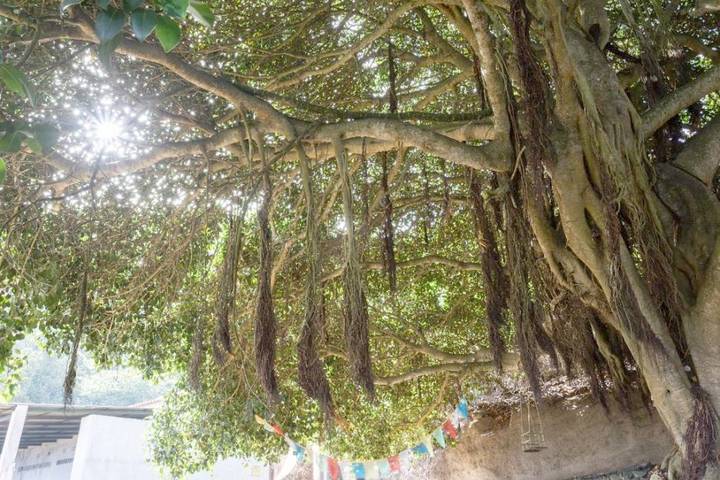 Tente pour 2 personnes, avec jardin et jacuzzi aux Canaries - 4