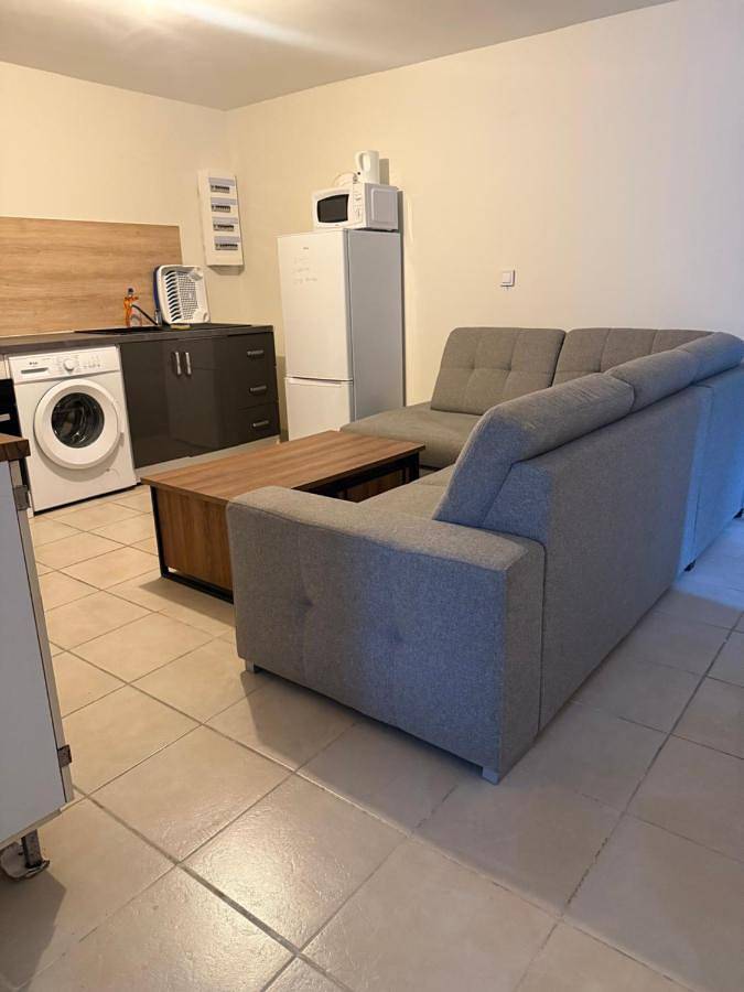 Location de vacances pour 12 personnes, avec jardin à Nogent-sur-Seine - 4