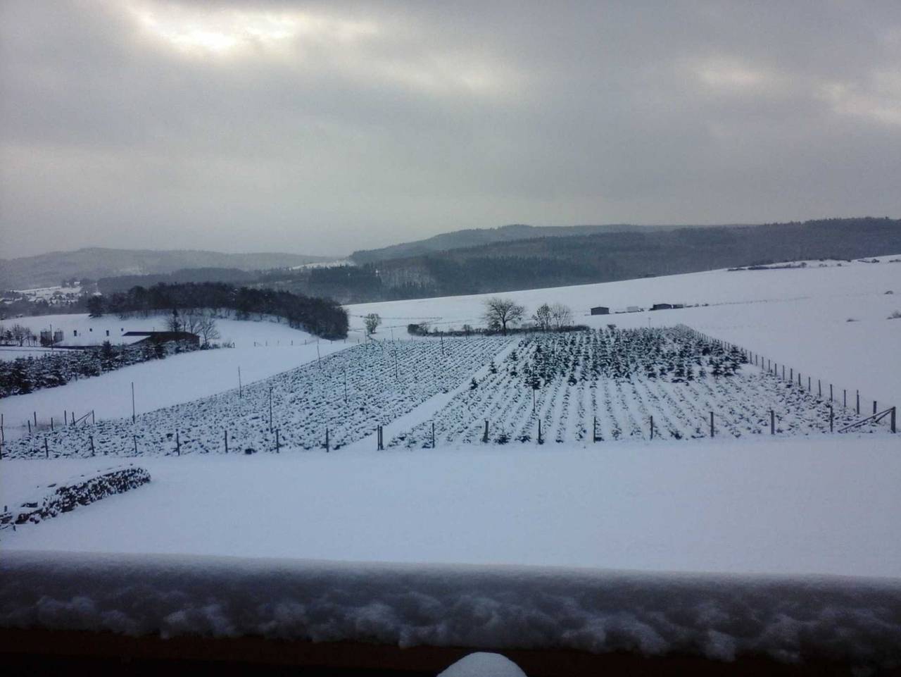 Ganze Ferienwohnung, Ferienwohnung Haus Weitblick - Ferienwohnung Marie in Düdinghausen, Medebach