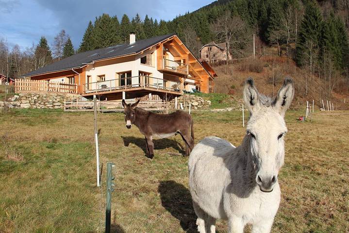Gîte pour 3 personnes, avec jardin à La Ferrière - 4