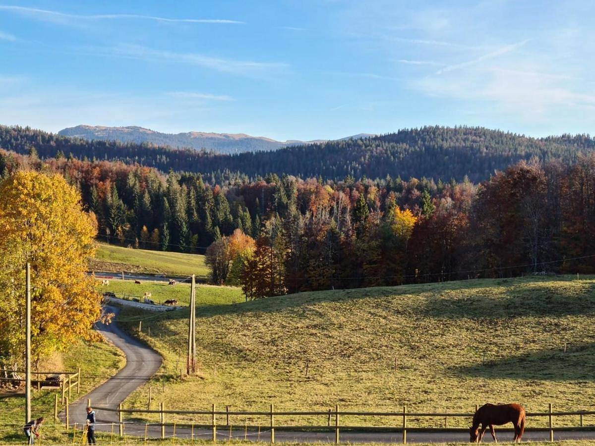 Gîte des 3 Marches in Lamoura, Parc naturel régional du Haut-Jura