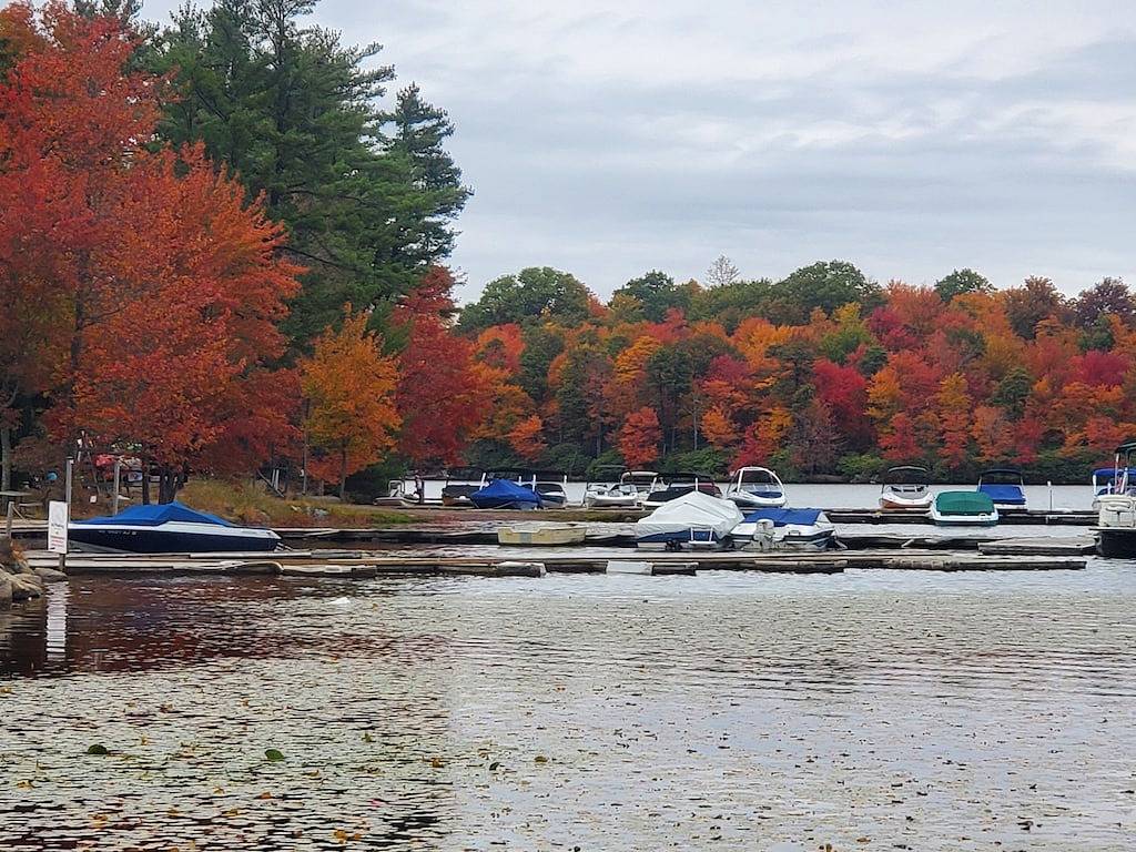 Harmony in the Woods in der Nähe von 2 Skigebieten
3 Schlafzimmer 2 Bäder Kabine in Hickory Run State Park