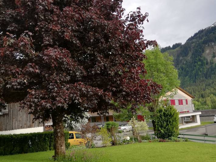 Ganze Ferienwohnung, Ritter Anni - Haus Ritter - Hochalpe App#3 in Bregenzerwald (Vorarlberg), Schoppernau