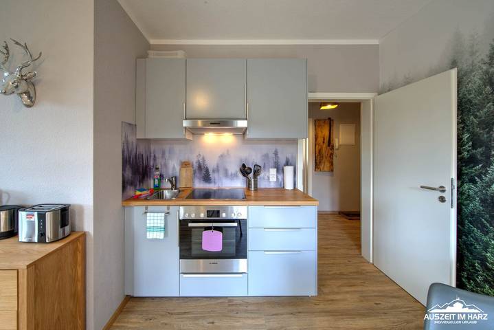 Ferienwohnung für 4 Personen, mit Balkon und Garten in Wernigerode - 4