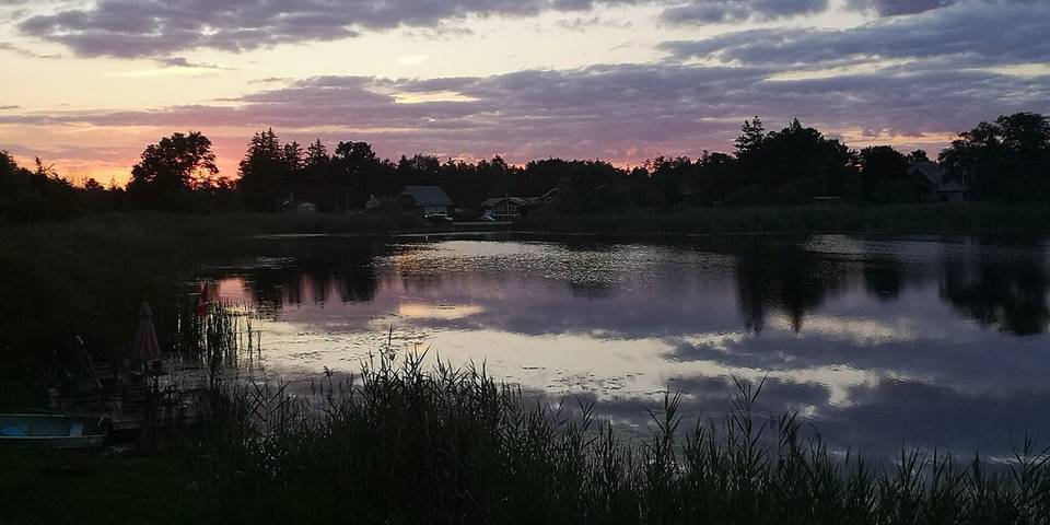 Bed and breakfasts for 5 people, with garden in Ontario