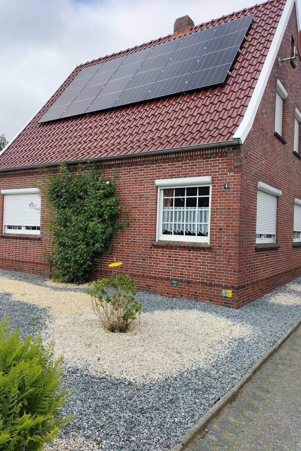 Seehase in Norden, Norden und Umgebung