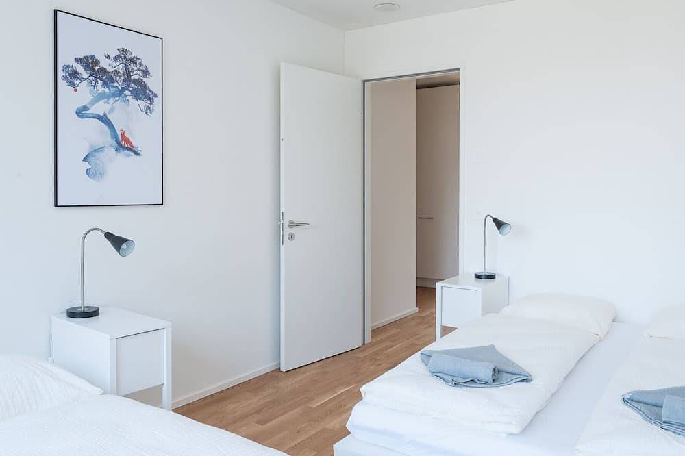 Apartamento entero, Bs Fox V - Messe Hitrental Apartment in Basel Zustellkreis, Basilea
