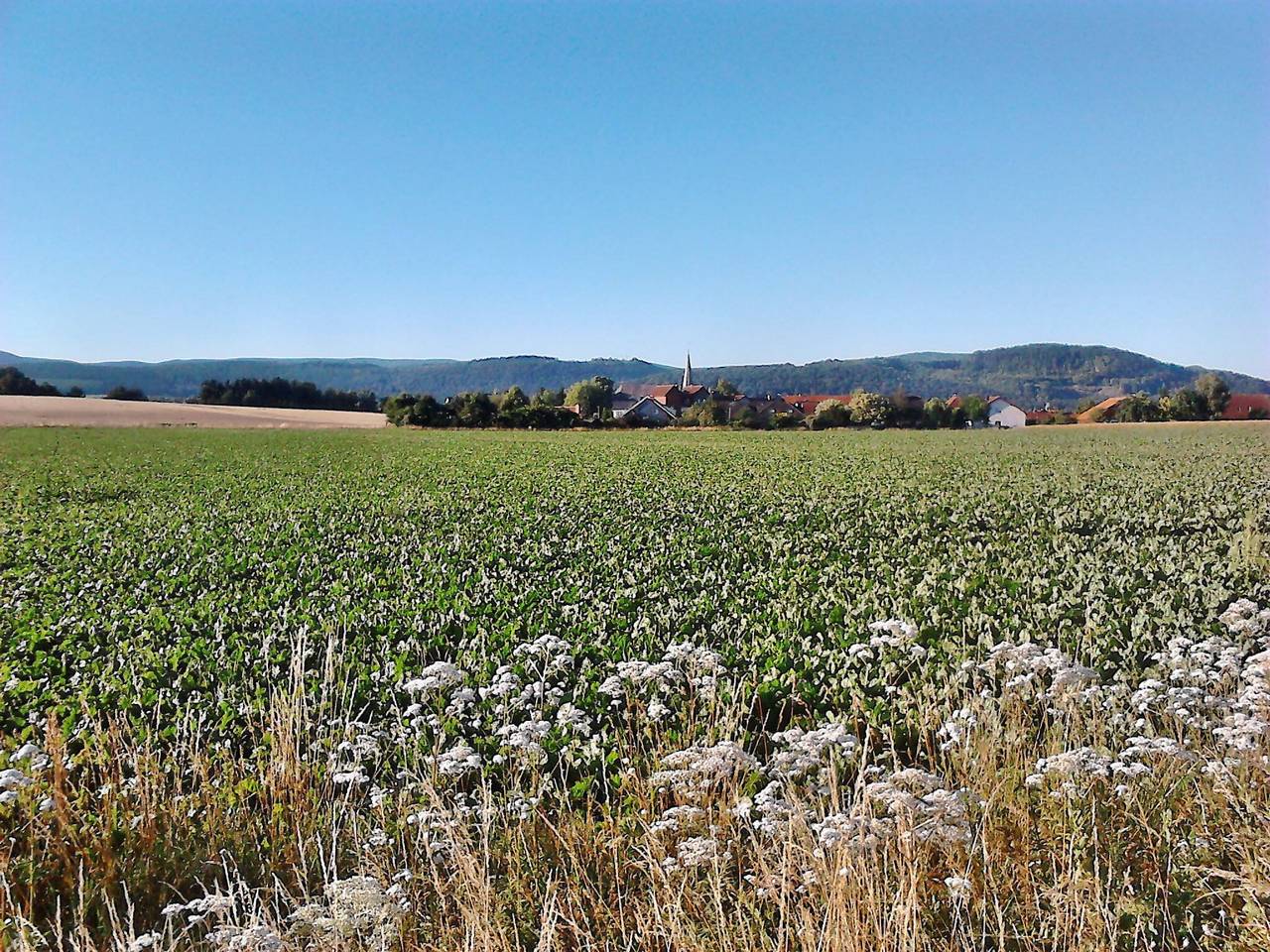 Ganze Wohnung, Monteurwohnung Langelsheim 6 Personen in Langelsheim, Harzvorland