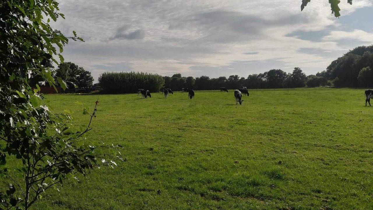 Ferienhaus für 6 Personen (125 m²) in Ansager in Ansager, Varde