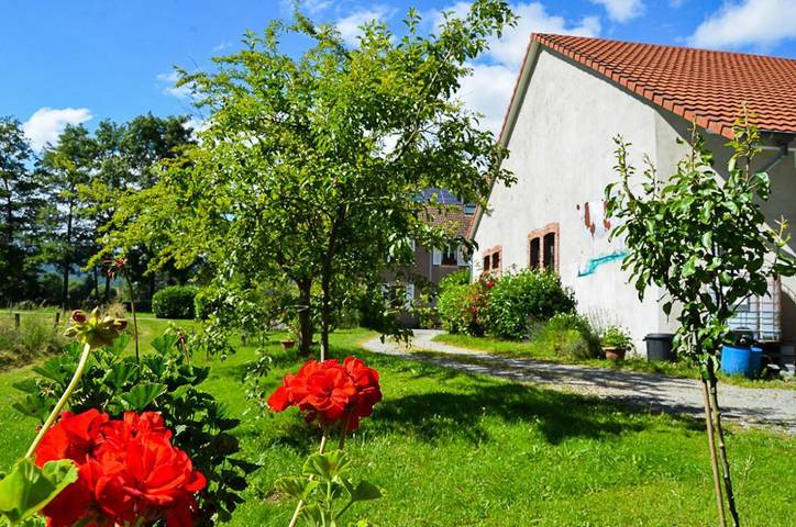 Gîte pour 4 personnes, avec terrasse et jardin, animaux acceptés dans Territoire de Belfort - 2