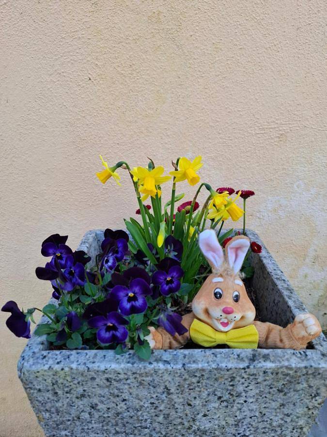 Location de vacances pour 5 personnes, avec jardin et jacuzzi, animaux acceptés à Linthal - 4