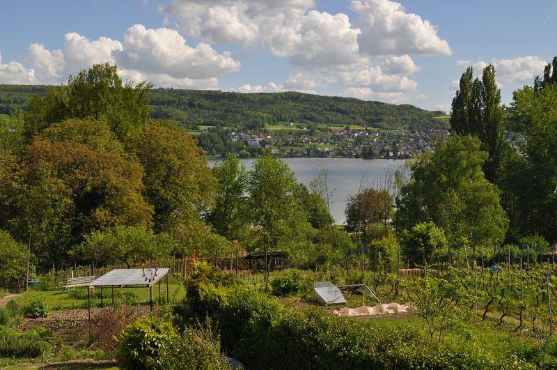 Ganze Ferienwohnung, Ferienwohnung "Im Bänkle" - 4-Zimmer-Fewo mit Terrasse, 2 Balkonen und Seesicht in Gaienhofen, Untersee