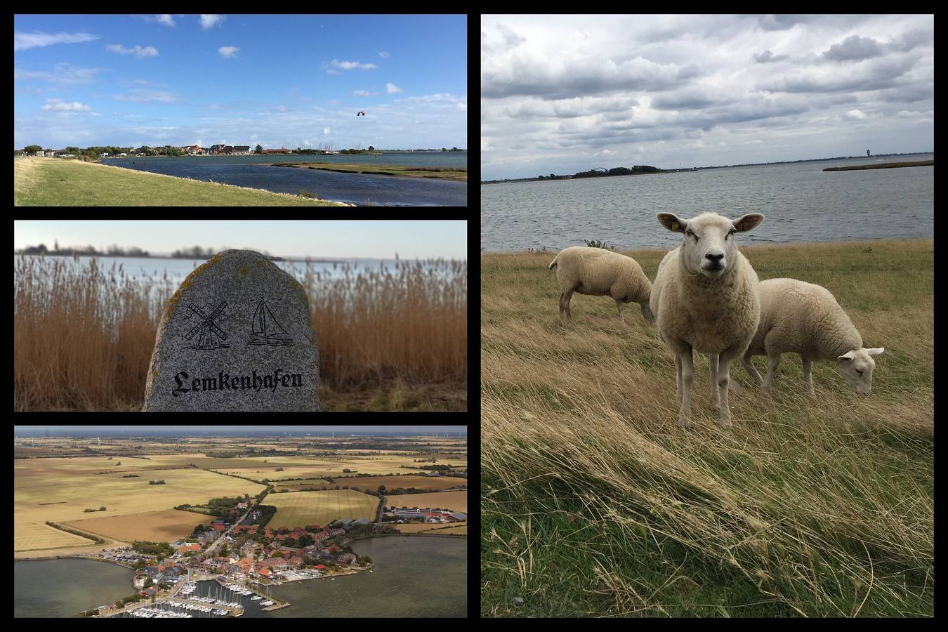 Ganze Wohnung, Ferienwohnung Seglernest 1 in Westfehmarn, Lemkenhafen