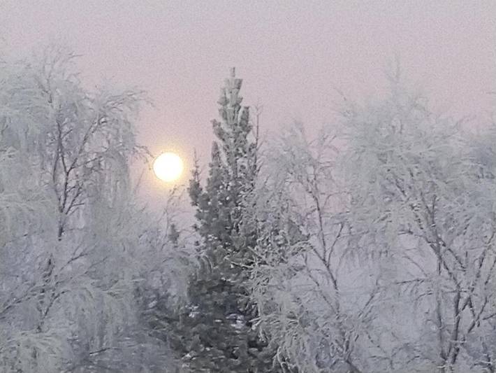 Location de vacances pour 5 personnes, avec sauna et jardin à Ivalo - 4