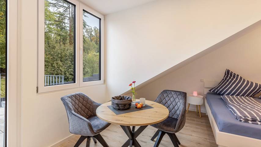 Ganze Wohnung, Premium Ferienwohnung "Waldblick" mit Balkon, Wi-Fi und Klimaanlage in Allensbach, Untersee