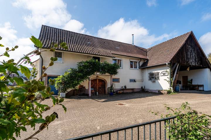 Vakantiehuis 'Alte Schmiede Ferienhaus Dorfbach' met gedeeld terras, tuin en wifi in Reichenbach (Baden Wuerttemberg), Lahr