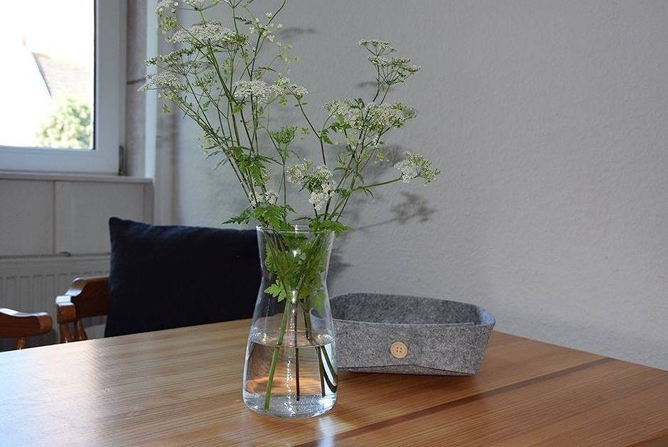 Ganze Ferienwohnung, Möwe in Ostfehmarn, Fehmarn