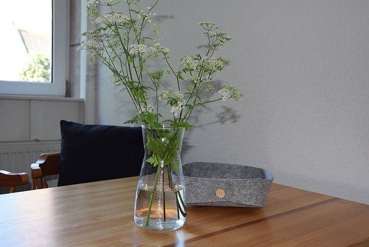 Ferienwohnung für 5 Personen in Landkirchen - 3