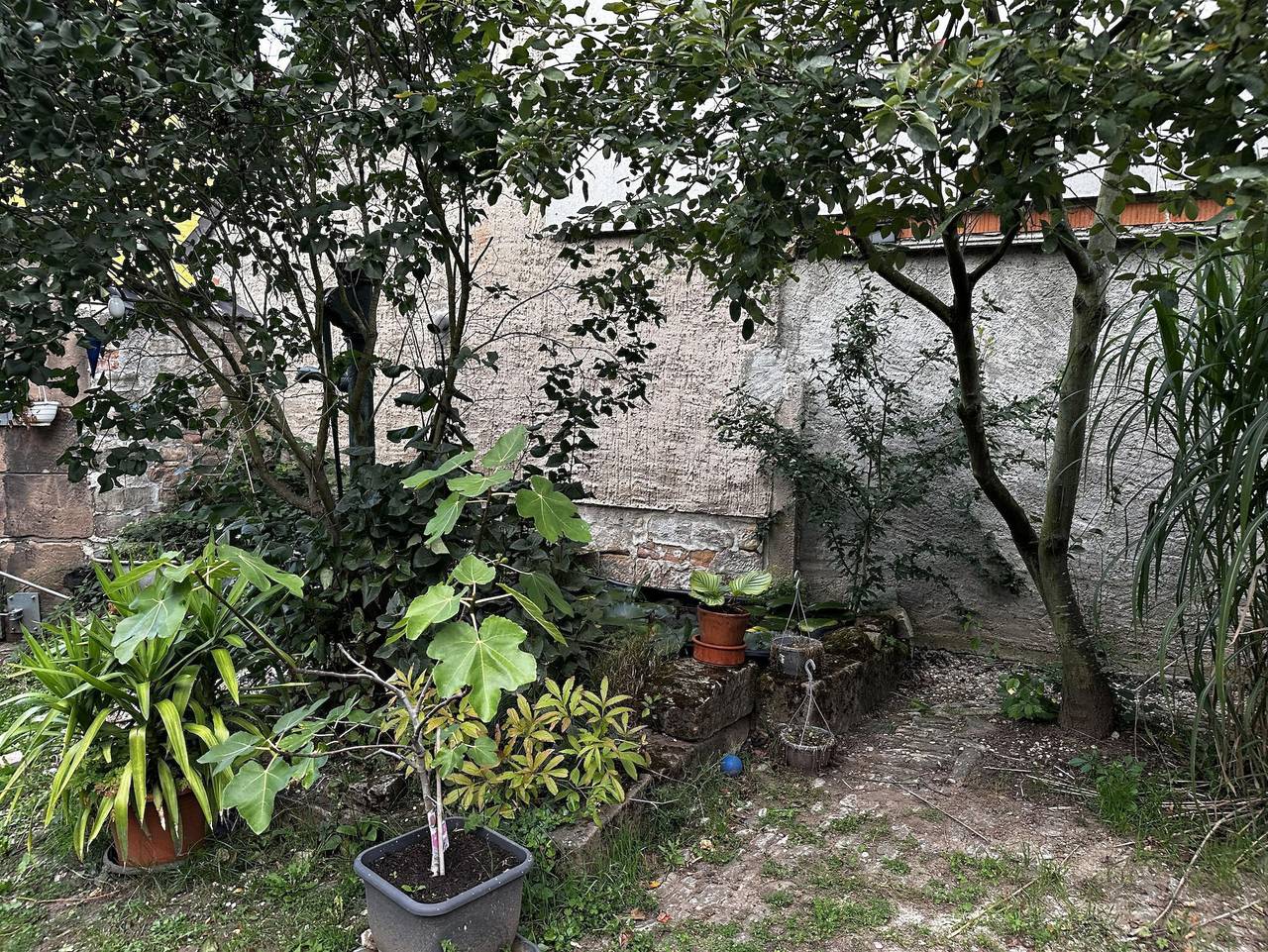 Ganze Ferienwohnung, Knisi Ranch - Ferienwohnung Unstruttal in Wangen (Nebra), Nebra (Unstrut)