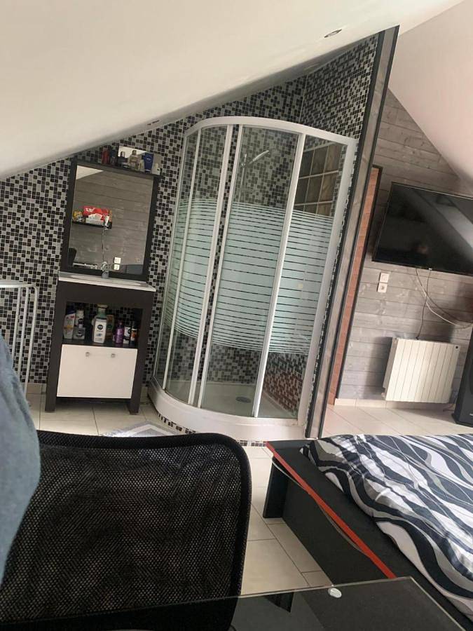 Location de vacances pour 18 personnes, avec jardin et piscine, animaux acceptés à Roézé-sur-Sarthe - 3