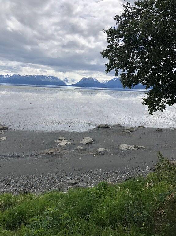 Homer Side Cabins in Homer, Kenai Peninsula