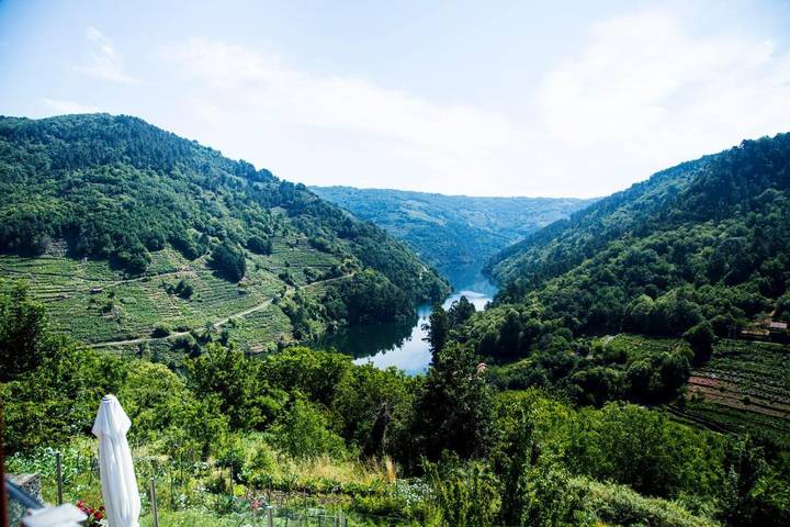 Alojamiento y desayuno para 2 personas, con vistas al lago además de vistas y jardín, Se admiten mascotas en Provincia de Lugo - 3